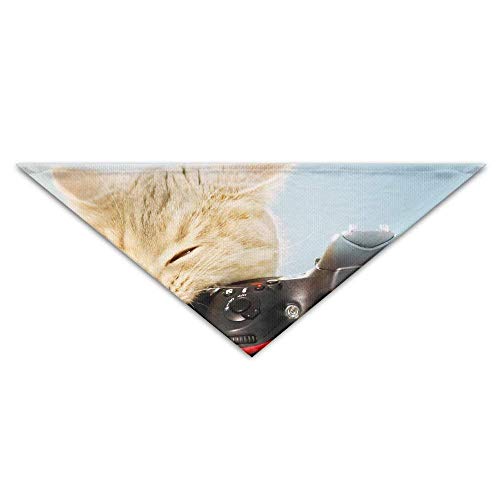 iuitt7rtree - Bufanda Triangular con fotografía de Gato, Accesorio para Mascotas, Gatos, Cachorros y Cachorros, Toalla para Perro