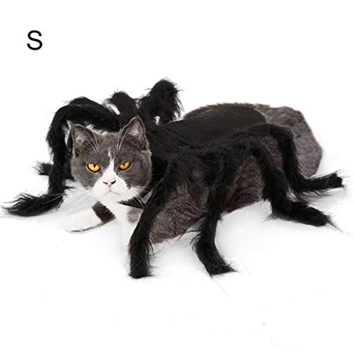 IvyH Decoración de Mascotas de Halloween, Disfraz de Perro Gato simulación de Terror Disfraz de araña de Felpa Fiesta de Disfraces para Cachorro Gatito (S)
