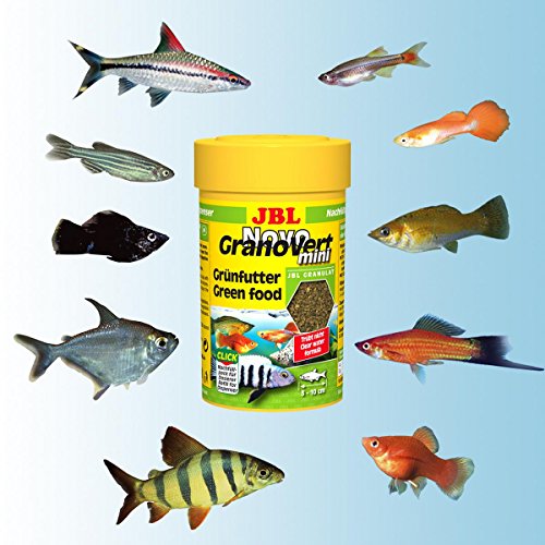 JBL 300968 Novogranovert Mini Refill Alimento Básico en Gránulos para Peces de Acuario Fitófagos, 100 ml