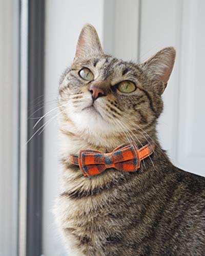 Joytale Collar para Gato con Pajarita & Cascabel, Collar Cierre Seguridad para Gatito,Verde + Naranja