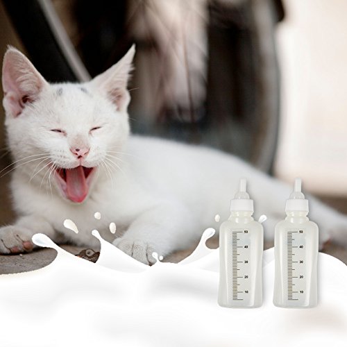Juego de biberones de lactancia para mascotas de 50 ml con 3 pezones y 1 cepillo de limpieza Kit de biberones para mascotas para gatos recién nacidos