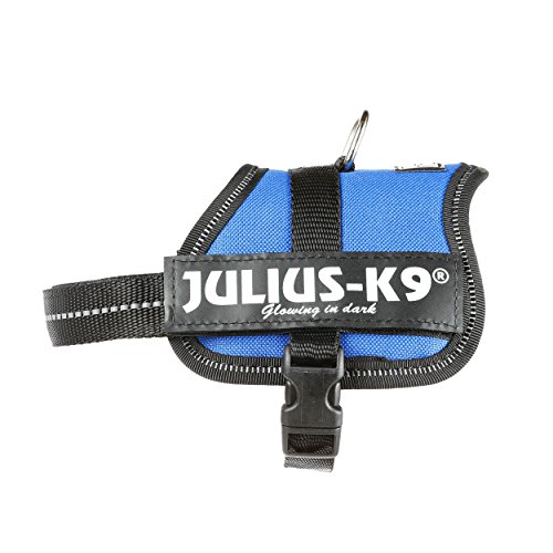 Julius-K9 Baby 2, 33-45 cm, Azul