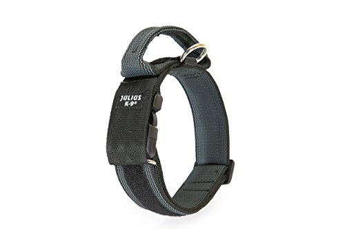 Julius-K9 Collar Color & Gray con la manija, la cerradura de seguridad y el remiendo intercambiables, 40 mm (38-53 cm), Negro-Gris