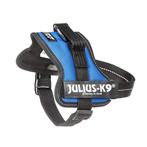 Julius-K9 Mini, 51-67 cm, Azul
