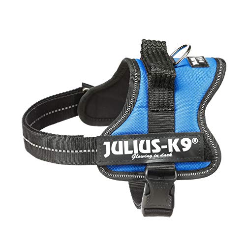 Julius-K9 Mini, 51-67 cm, Azul
