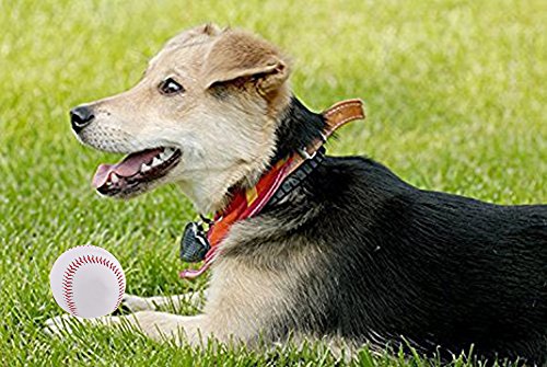 Kanggest 9 Pulgadas de Béisbol Blanco Balón de Entrenamiento Suave Golpeó la Pelota Mascota Perro Masticar Bola Juguetes para Mascotas