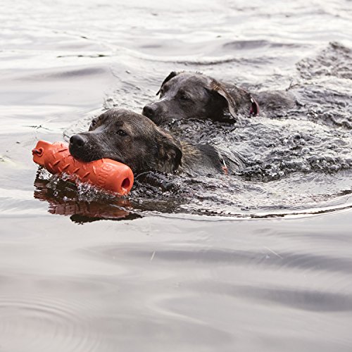 KONG - Dog Training Dummy - Flotador, para adiestrar y Jugar en el Agua - para Perros Grandes
