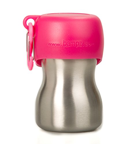 KONG H2O KG95PNK - Botella de agua (acero inoxidable, 0,28 L, tamaño S), color rosa