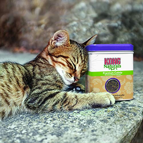 KONG - Naturals Premium Catnip - Hierba gatera de Cultivo norteamericano - 29 Gramos