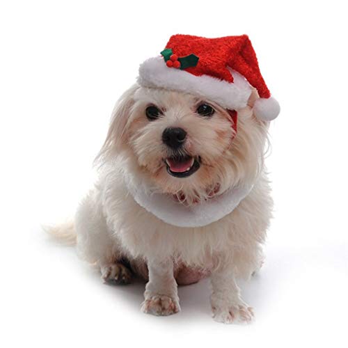 Kungfu Mall - Disfraz de Papá Noel para perro, disfraz de Navidad
