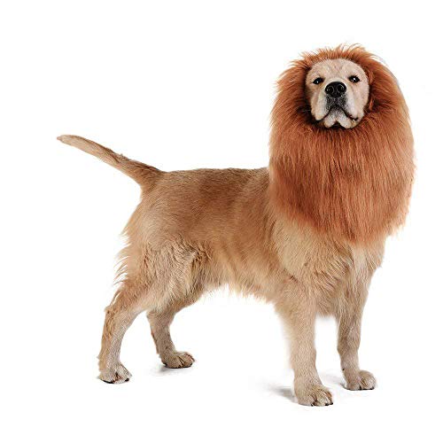 kungfu Mall Disfraz de Perro Peluca de Leones de Perro con Orejas Traje de Mascota Ajustable Vestido de Perro por Menos de 74 cm