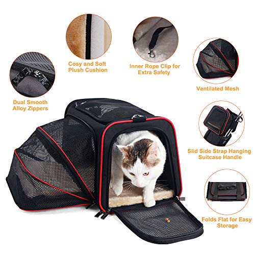 La Gracery - Transportín extensible para mascotas pequeñas para perros, gatos – 2 lados de expansión plegable Airline aprobado para caseta portátil suave bolsa de mascotas