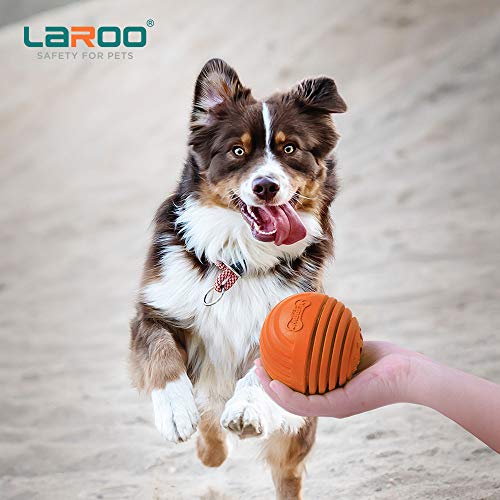 LaRoo Dog Ball