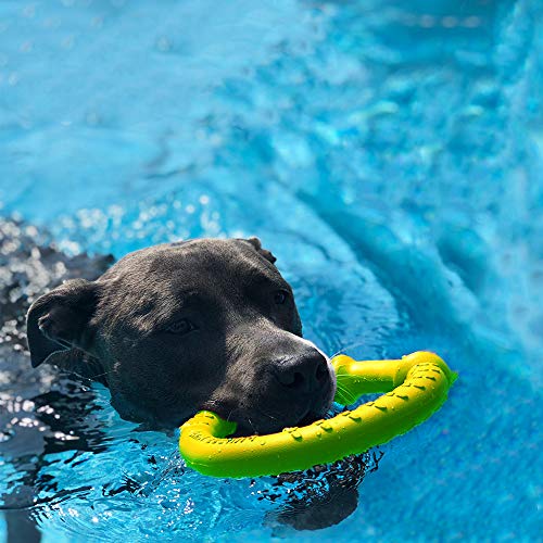 LaRoo Dog Frisbee Dog Disc Toy, Disco de Lanzamiento Duradero para Perros Fuertes para Perros pequeños, medianos y Grandes, Deporte, Ejercicio, Actividad y Juegos al Aire Libre (18 cm Verde)