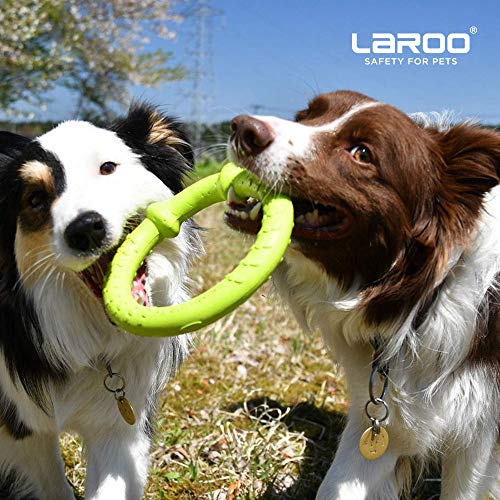 LaRoo Dog Frisbee Dog Disc Toy, Disco de Lanzamiento Duradero para Perros Fuertes para Perros pequeños, medianos y Grandes, Deporte, Ejercicio, Actividad y Juegos al Aire Libre (18 cm Verde)