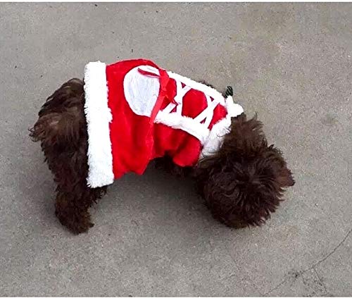 Legisdream Disfraz de Santa para Perro Animales Talla XXS