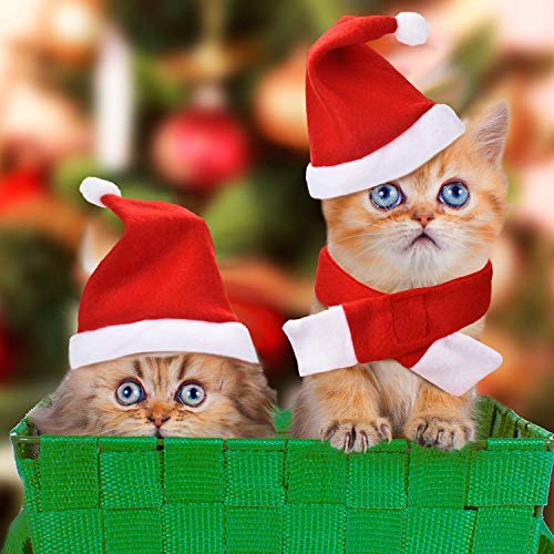 LIZHIGE 4 Piezas de Sombrero Bufanda Collar Campana Pajarita de Mascotas de Navidad para Perros Gatos Mascotas Pequeños