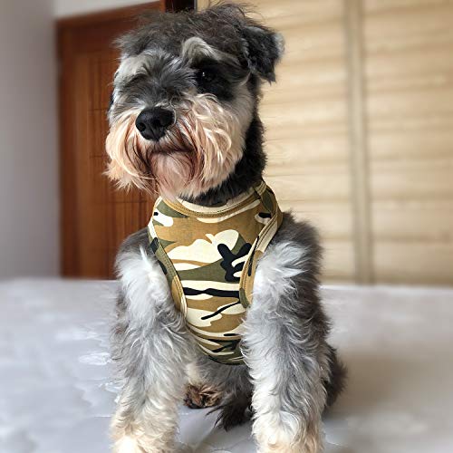 Longlongpet - Camiseta de manga corta para perro, suave y cómoda, de algodón, para cachorro de perro, camisetas de verano para perros grandes, medianos y pequeños
