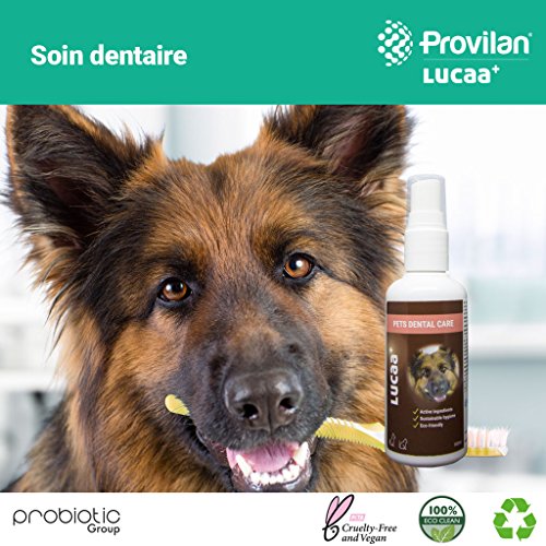 LUCAA+ Limpiador para Dientes 100ml | Higiene Dental | Mascotas/Perros/Gatos | con Probióticos | Bio, Vegano & Natural
