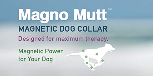 Magno Mutt – Advanced magnético – Cherry Rojo – Collar de perro grande (19 ¾ – 26 ½ – en). Ahora con anilla en D de metal nuevo