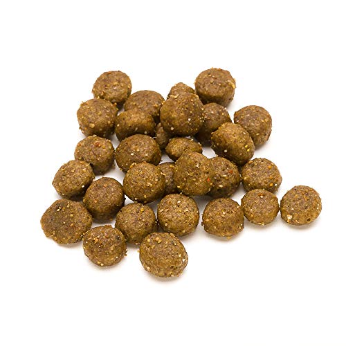 Marca Amazon - Lifelong Complete- Alimento seco completo para perros (razas pequeñas) con salmón y arroz, 3 x 3 kg