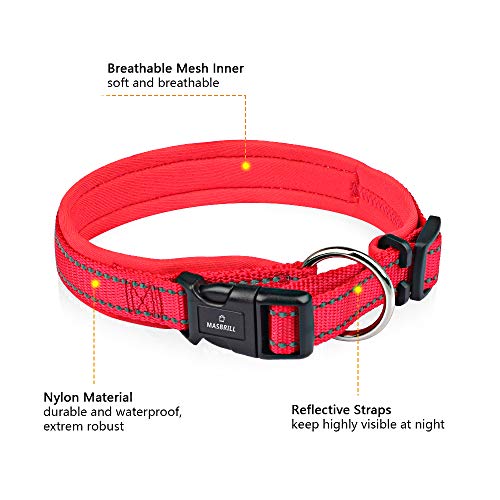 MASBRILL Collar de Perro Duradero y Reflectante, Ajustable Collar para Perros Grandes o Pequeños, Fabricado de Nylon con Suave Acolchado (Rojo XL)