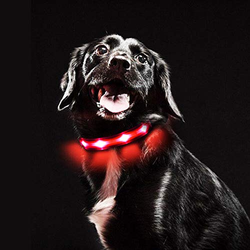 MASBRILL Collar LED Perro, Collar para Perro Luminoso Recargable y Impermeable, 3 Modos de Iluminación led y Tamaño Ajustable para Perros Pequeños Medianos Grandes(Rojo S)