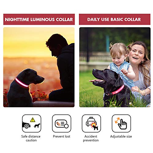 MASBRILL Collar Luminoso Perro de Mascota, 3 Modos Collar Perro Luz con Recargable y Impermeable, Ajustable Collares LED para Perros Pequeños/Medianos/Grandes(Rojo M)