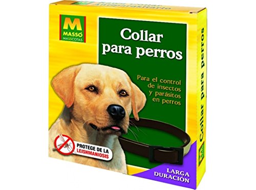 Masso 231027N - collar para perros gama masscotas