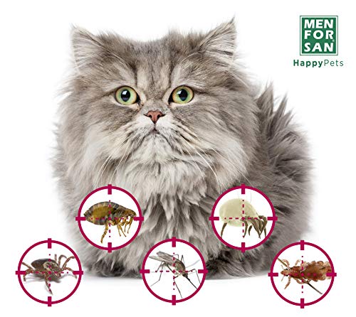 MENFORSAN Collar Antiparasitos para Gatos | Repelente con Ingredientes Naturales | Margosa, Geraniol Y Lavandino | Protección Frente A Cualquier Insecto 200 g
