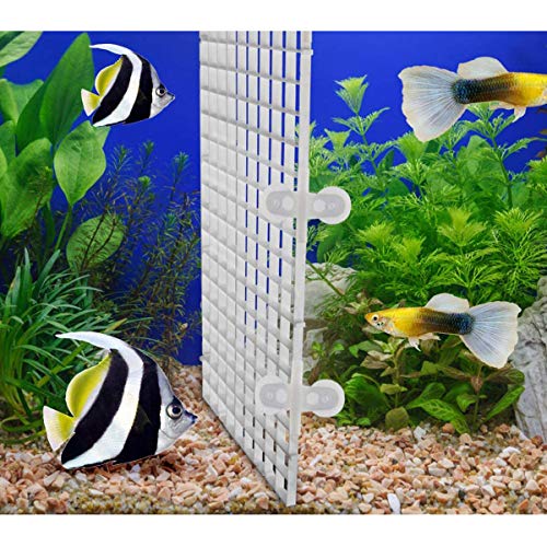 mengger 6 Piezas Separador Acuario divisores acuarios de plástico Malla Divisoria Tanque del Pescados 30 x 15 cm con 12Pcs Ventosa
