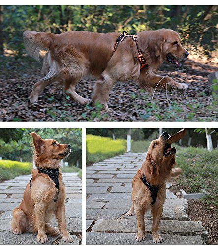 Mokcci - Arnés reflectante para perro, frontal suave, antitirones, con asa y 2 correas