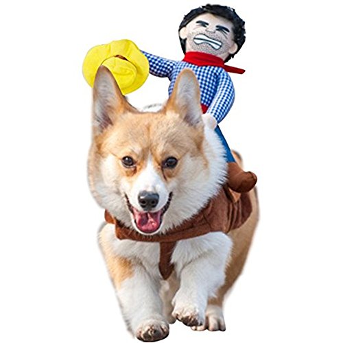 Morbuy Ropa para mascotas Ropa de mascotas de la novedad Perro con Vaquero Jinete Gracioso Vestido de fiesta para perros y gatos(S, color5)