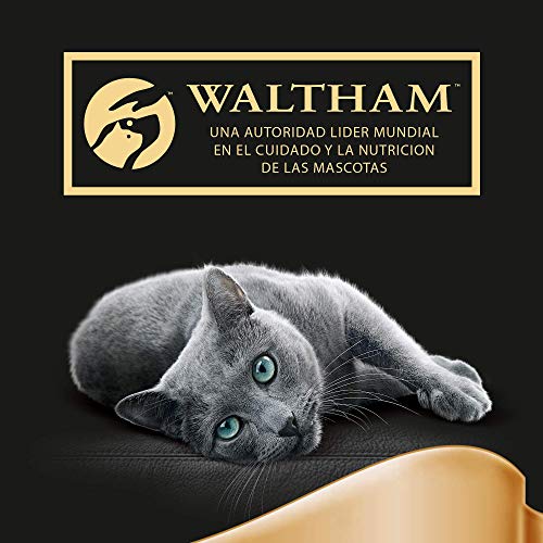 Multipack de 4 bolsitas Delicatezze para gatos de selección mixta en gelatina (Pack de 13)