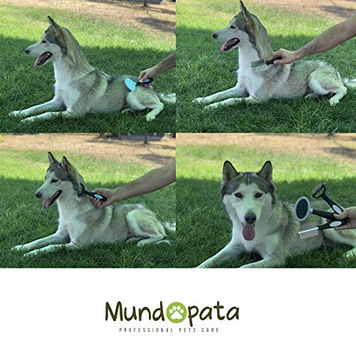 Mundopata Pack 3 Cepillos Perro y Gato y Peine Perro de Color Azul - Cepillo Perro Pelo Largo Ideal para tu Mascota - Revitaliza el Pelo Muerto con el Peine para Perro y Gato