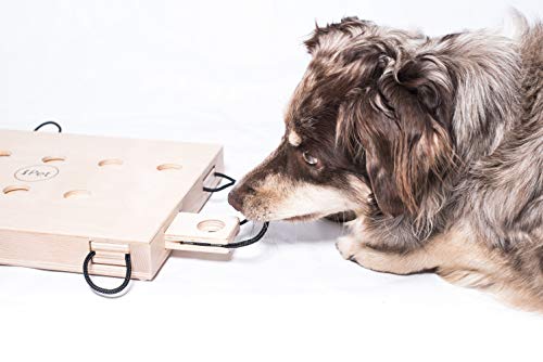 My Intelligent Dogs de habilidad ipet de Smart Dog de madera para perros. Fuga erlis en 8 Ocultar mediante herausziehen encontrar
