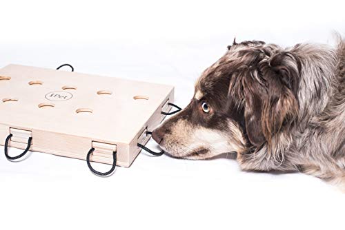 My Intelligent Dogs de habilidad ipet de Smart Dog de madera para perros. Fuga erlis en 8 Ocultar mediante herausziehen encontrar