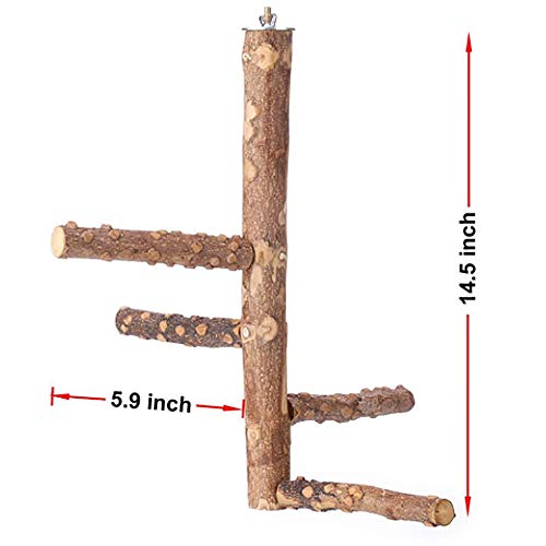 N'A Parrot Claws Grind Stick, Parrot Pepper Wood Stand Bar, Nature Pepperwood Bird Perch Stand Actividad Juguete, Adecuado para Loros Pequeños Y Medianos