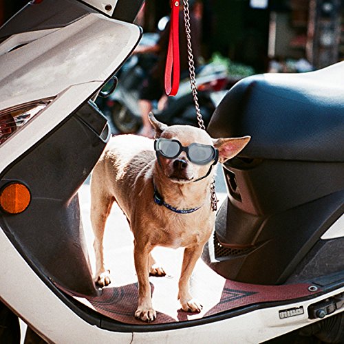 Namsan Perros Gafas de sol Protección UV Resistente al agua resistente al viento para Doggy Puppy Gatos con tirantes desmontables y de ajuste suave marco