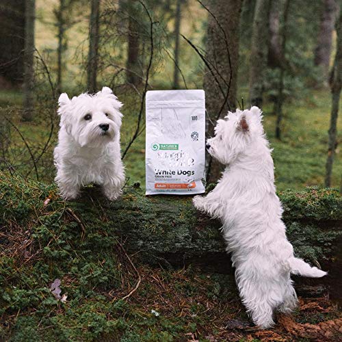 Nature'S P Natures Protection White Dog Adult Small Breed Salmon 10Kg 10000 g