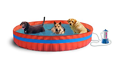 New Plast 3100 K – My Dog Pool Piscina para Perros con Filtro, 305 x 46 cm (diámetro x Altura)