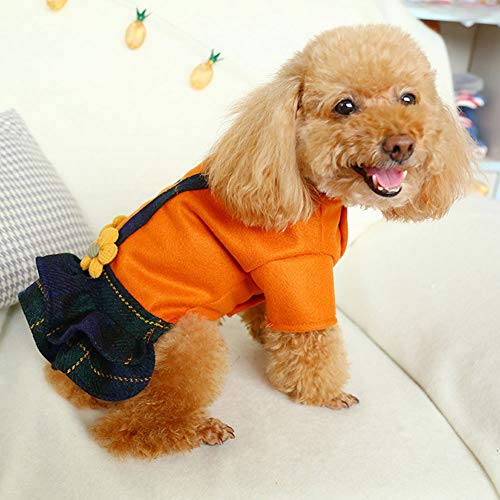 Nicedier-Tech Vestido Lindo Perro Adorable Vestido a Cuadros Falda de Lana con Flores de la Falda de la Liga de Moda de Ropa de Abrigo para Animales S