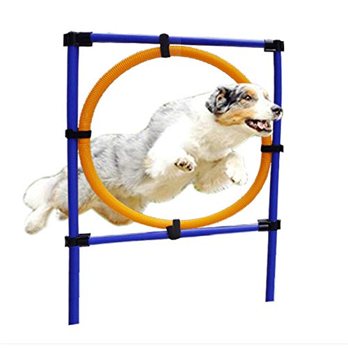 NXL Actividad para Perros Anillo De Agilidad Mascotas Perros Juegos Al Aire Libre Ejercicio De Agilidad Equipo De Entrenamiento Kit De Inicio De Agilidad Barra De Obstáculos para Saltar