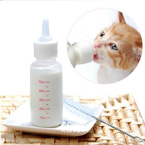 OFKPO 50 ml recién nacido Mascota Pequeño leche Feeder, Adecuado para pequeños cachorros, gatitos, conejos