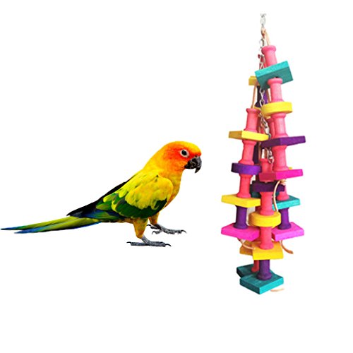 Pájaro de madera natural, juguete masticable para loro, periquito, cacatúas, guacamayo africano gris, Lovebird Cage Chew Toy