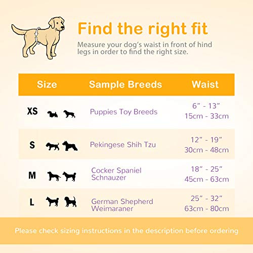 Pañales para mascotas para perros machos -DONO Nuevos pañales para perros desechables Abrigos para hombres Pañales súper absorbentes para perros machos (S 12pc (12"-19"))