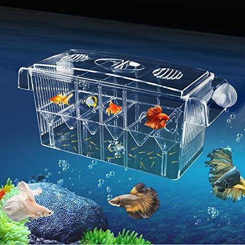 paridera para peces, El acuario de dos capas para criaderos de peces multifuncionales con auto natación, el separador se puede desmontar libremente, también se puede utilizar como caja de alimentos