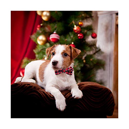 PEDOMUS Collar navideño para Perros de Navidad con Pajarita - 100% algodón Diseño de Nylon Collar para Perros Ajustable Hecho a Mano - Moda Linda para Perros pequeños medianos Grandes XS