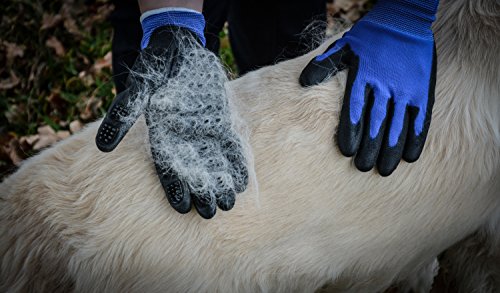 PEGACARE Guantes de enfermería S-XL para el Cuidado óptimo de Animales como Caballos, Perros y Gatos. La Alternativa al Cepillado de pelos de Animales.