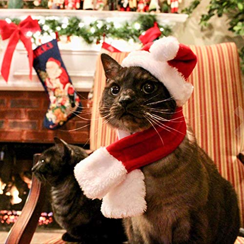 Perro gato mascota Santa sombrero bufanda Navidad disfraz silenciador Cosplay Disfraces Ropa de perro invierno para cachorros gatitos pequeños perros mascotas amable y caliente rojo y blanco